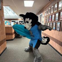 Catch the wave! 